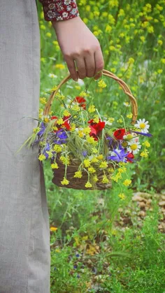 باد با خود می بَرد احساسِ باد آورده را...