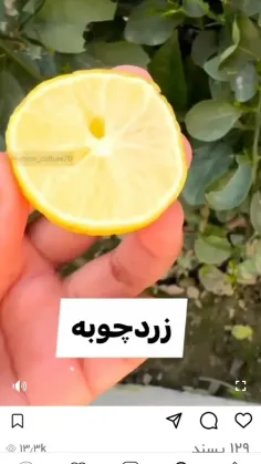 براتون یه روش خوب آوردم، اگه تیرگی دارید این کارو انجام ب