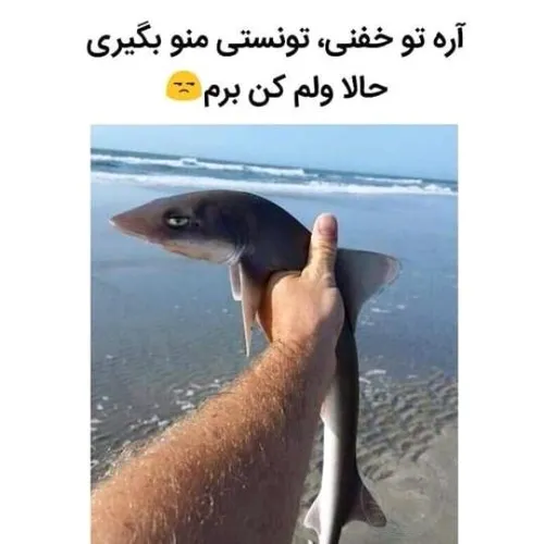 دنبال کن و بخند😍