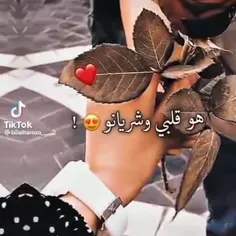 تقدیم به همسر عزیزم