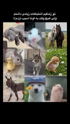 برای سرگرم شدن خودت اینجایی، نه برای من.