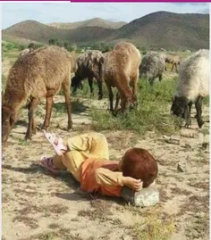 اگر کسی به دلت نشست ....