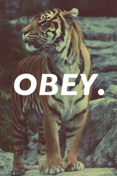 #Obey