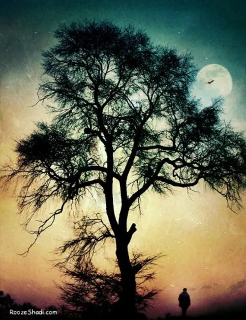 درخت با تمام درختیش جلوی عشقت سر خم کرد.....