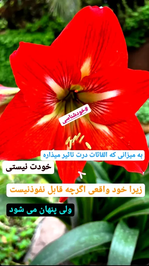 خودشناسی