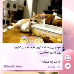 حق نیست😂
