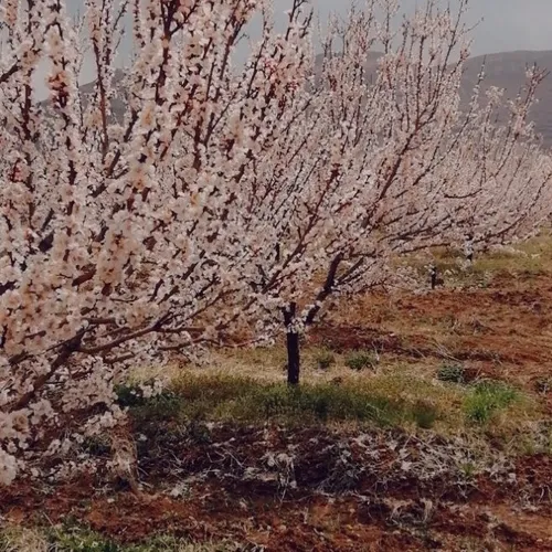 طبیعت زیبای چهارمحال و بختیاری لردگان