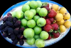 میوه های نوبرانه چرا قدر و قیمت دارند❓