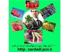 ایران درخت،نهالستان مهندس زردادی