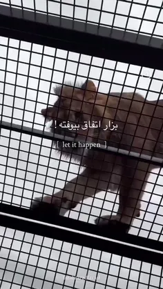 .  𝘵𝘩𝘦 𝘱𝘢𝘪𝘯 𝘺𝘰𝘶 𝘧𝘦𝘦𝘭 𝘵𝘰𝘥𝘢𝘺 𝘪𝘴 𝘵𝘩𝘦 𝘴𝘵𝘳𝘦𝘯𝘨𝘵𝘩 𝘺𝘰𝘶 𝘧𝘦𝘦𝘭 𝘵𝘰𝘮𝘰𝘳