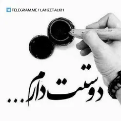 فقط همین