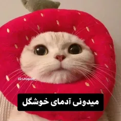 #K_POP #TXT #STRAY KIDS #IVE #(G)I_DLE #SOMI #BLACK PINK 
