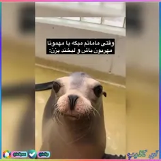 فقط لبخندش😂😁