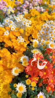 moijoon1361 77091271