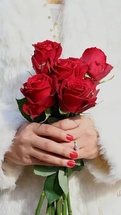 دوست داشتنت را در#گلدان دلم کاشتم