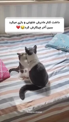 عاقبت شیطنت وبازی بامادر اینه😂😂😂😂😂😍♥️