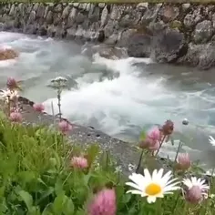 سمفونی طبیعت👌😍