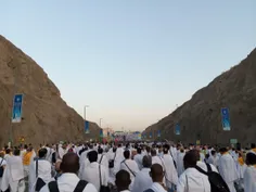 عکس را زوم کنید!
