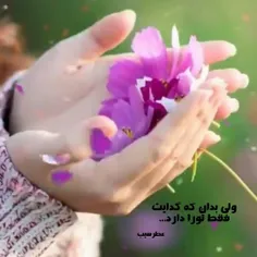 🍃🌸در همه مشکلات "یابن الحسن" بگو ...