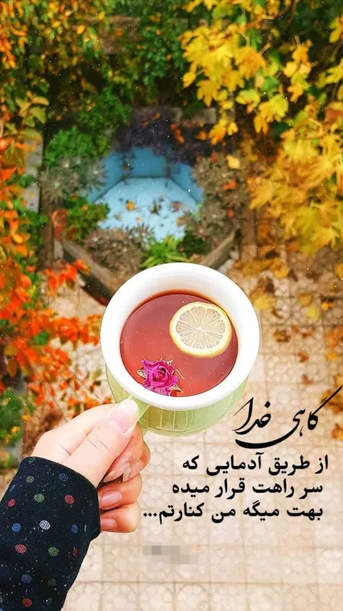 خدا جونم مرسی که هوامو داری🙏❤️