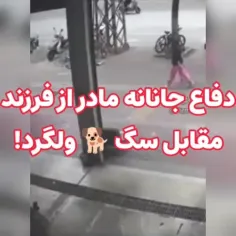 ماشاءالله به این مادر!!!