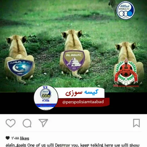 جوری که بقیه کیسه کشارو تو آسیا میبینن😂