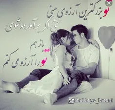 گوناگون aomidjoni 25107202