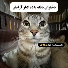 اره+اره