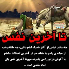 مهم اینه که