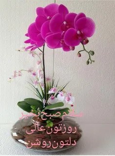 الهی در این 