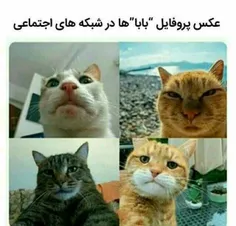 باباها.... 😂😂😂😂