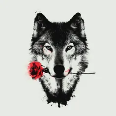 Wolfــــــ