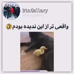 شباهت موج میزنه واقعا😂😂😂😂😂