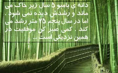 عاشقانه ها amirrezafarazpoor 20041510