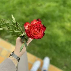 تقدیم به تک تک دوستان گلم ❤️❤️🌹🌹