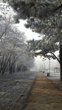 در سرزمین خاطره ها آنانکه