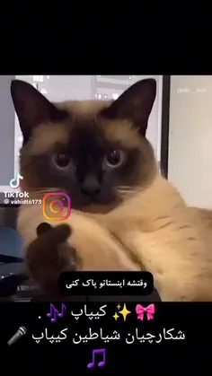 تکلیففففففف دارمممممم 