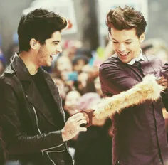 zouis