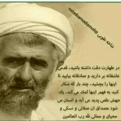 حضرت استاد صمدی آملی حفظه الله