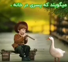 حتما ببینید 