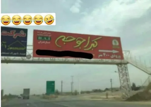 کبرا جوجه خواهر ناتنی اکبر جوجه🤭😁