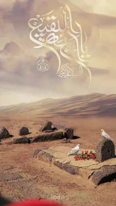 شهادت امام سجاد (ع) 