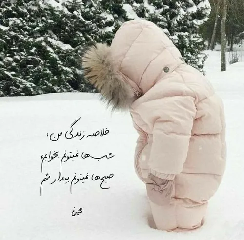 تکست ناب