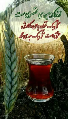 زندگی جیره ی مختصری ست