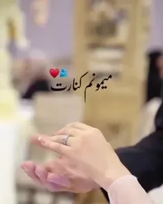 'و أحببٺڪَ حـبّ لا یعلـمہ إلا من خلقڪ...'