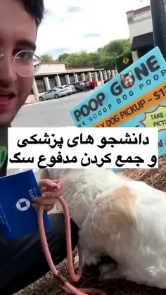 ۱۲ دلار  بابت جمع کردن مدفوع سگ!!