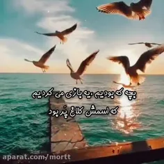 کلاغ پر