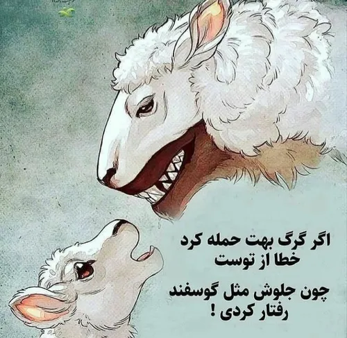 عکس نوشته