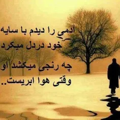 چند تا لایک داره