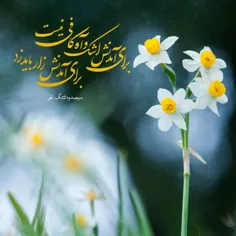 بخواهیم‌آمدنش‌را... #امام_زمان 